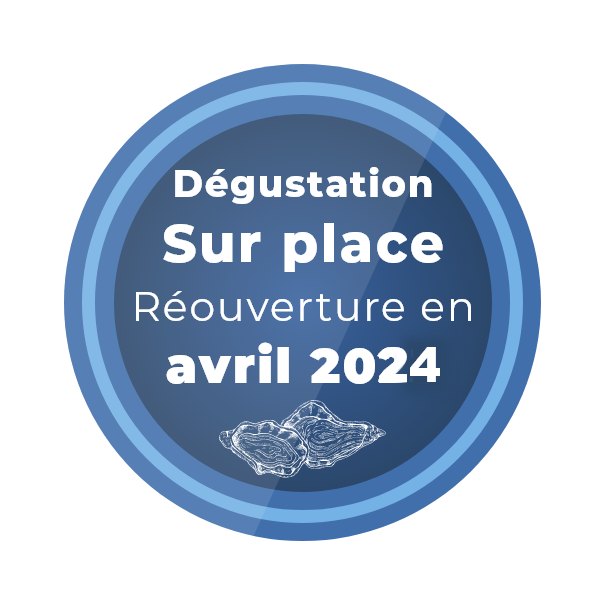 HUiTRES GUYAU OSTREICULTEUR TALMONT SAINT HILAIRE Degustation